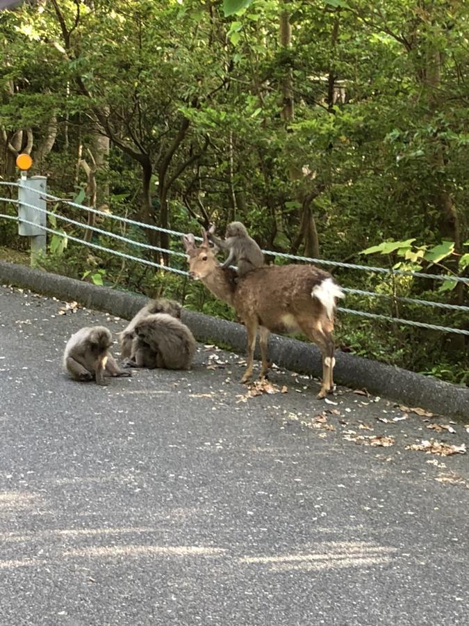 Yakushima Pension Luana House Dış mekan fotoğraf